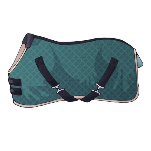 Pferdedecke (gefüttert) waschen und imprägnieren